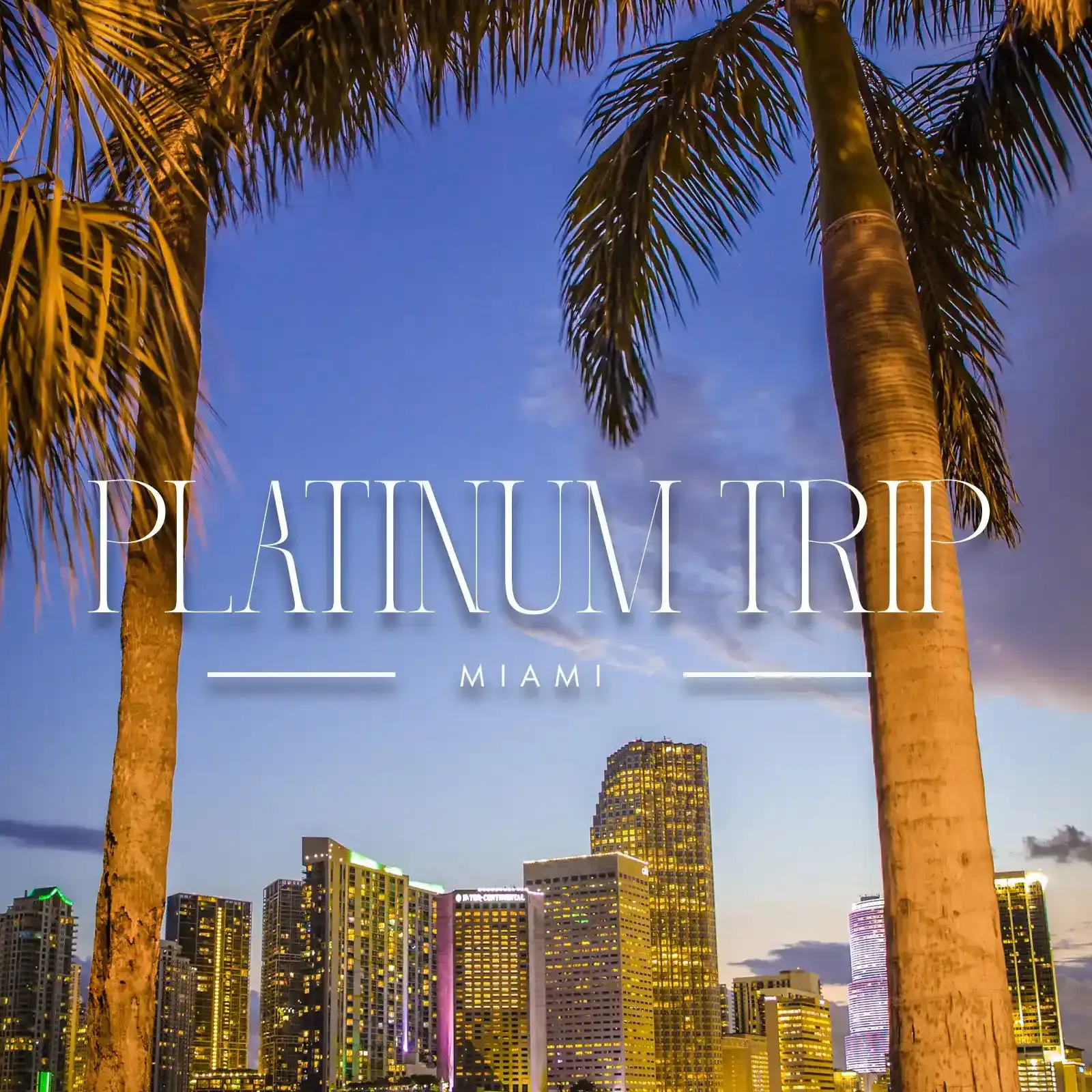 Platinum Trip Ticket
